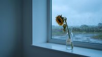 Wilting sunflower in a glass vase on a windowsill with rain-streaked glass and moody overcast sky, evoking loneliness and melancholy.