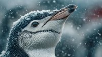 Penguin chick portrait in falling snow with detailed feathers and beak, winter wildlife photography for nature and animal themed projects.