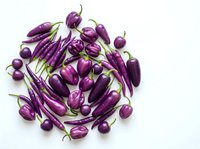 Fresh purple eggplants and round aubergines arranged on white background, isolated vegetables for cooking, culinary, and food design projects.