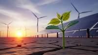 Green plant seedling growing through cracked earth with wind turbines and solar panels at sunset representing renewable energy and environmental hope.