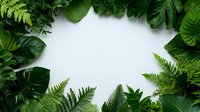 Green tropical leaves and ferns creating natural frame border on white background, fresh foliage arrangement with copy space in center for text or design.