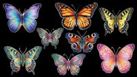 Colorful butterfly collection featuring blue, orange, yellow, and pink species isolated on transparent background, ready for t-shirt designs, clipart, stickers, sublimation, and print-on-demand projects.