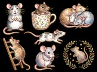 Cute mice and rats collection isolated on transparent background, ready for t-shirt designs, stickers, clipart, print-on-demand products and sublimation projects.