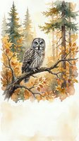 Great grey owl perched on branch in autumn forest with golden foliage and evergreen trees, watercolor painting style for nature artwork and home decor.