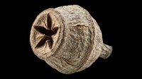 Wasp nest isolated on transparent background, ready for clipart, print-on-demand products, t-shirt designs, stickers, and sublimation projects.