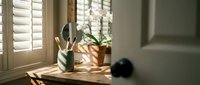 Sunlit wooden desk with potted plants, watering can and camera creating peaceful home office workspace atmosphere for productivity and creativity.