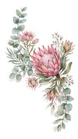Pink protea flowers with eucalyptus leaves isolated on white background, ready for wedding invitations, greeting cards, botanical prints, and floral design projects.