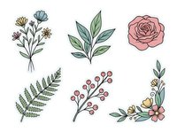 Isolated botanical line art and watercolor florals with leaves, berries and blooms. Hand-drawn botanical elements for wedding invitations, greeting cards, and design projects.