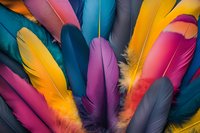 Vibrant multicolored feathers in pink, yellow, teal and purple arranged in decorative composition against dark background, creating artistic macro detail pattern.
