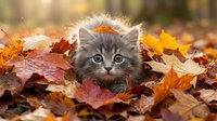 Tabby kitten with gray and orange fur sitting among fallen autumn leaves in warm sunlight, suitable for seasonal pet and nature designs.