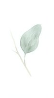 Single green leaf with stem on white background, watercolor botanical illustration isolated for design projects, invitations, and branding applications.