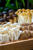Fresh assorted exotic mushrooms including white enoki, brown shimeji, and golden needle displayed in wooden box, showing variety of textures and colors.