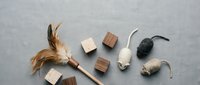 Flat lay of cat toys on gray linen background, featuring feather wand, wooden blocks, and toy mice for pet care and lifestyle content.
