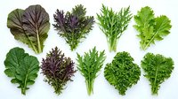 Assorted fresh leafy greens and salad vegetables isolated on white background, including lettuce, kale, and mixed greens for culinary and design use.