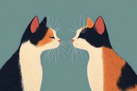 Two calico cats facing each other in profile against teal background, minimalist illustration style with textured fur and whiskers.