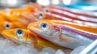 Fresh colorful fish with bright eyes arranged in rows at market, selective focus on heads showing quality and freshness, macro food photography.