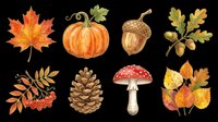 Autumn harvest collection with maple leaf, pumpkin, acorn, oak leaves, rowan berries, pinecone, red mushroom, and fall foliage isolated on transparent background. Ready for t-shirts, stickers, clipart, and print-on-demand designs.