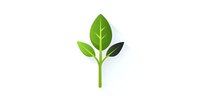 Fresh green sprout with three leaves on white isolated background, minimalist eco-friendly design element for sustainable branding and environmental projects.