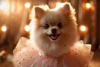 Smiling Pomeranian dog wearing pink tulle collar against warm bokeh lights background, creating magical festive atmosphere for pet photography and greeting cards.