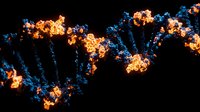 DNA double helix structure with glowing orange and blue molecular bonds against dark background, suitable for science, genetics, biotechnology and medical research presentations.