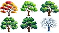 Collection of six stylized trees showing seasonal changes from autumn colors to bare winter branches, isolated on white background for design projects.