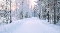 Snow-covered forest road through winter wonderland with frost-laden trees creating magical pathway for seasonal travel and outdoor adventure.