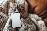 Tabby cat with smartphone mockup resting on cozy knitted blanket, creating warm home atmosphere for digital product display.