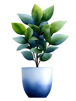 Green plant with glossy leaves in modern blue gradient ceramic pot, isolated on white background for home decor and interior design projects.