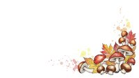 Autumn harvest corner decoration with mushrooms, acorns, maple leaves and berries on white background for seasonal design projects.