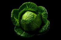 Fresh green cabbage head with textured leaves isolated on black background, dramatic lighting highlights natural veins and patterns. Suitable for food photography and design.