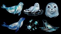 Seal and sea lion characters in watercolor style, isolated on transparent background. Ready for clipart, t-shirt design, stickers, print-on-demand products, and sublimation projects.