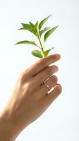 Hand holding green plant sprout symbolizing growth, sustainability and environmental care on white background for eco-friendly business concepts.