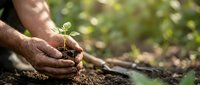 Hands planting young seedling in soil outdoors, environmental conservation and sustainable gardening concept for eco-friendly agriculture and nature restoration projects.