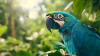 Blue and gold macaw close-up portrait in natural environment with green foliage background and soft bokeh lighting, showing vibrant feathers and distinctive beak.