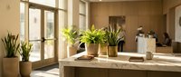 Modern hotel or office reception desk with marble countertop, green plants, and warm natural light streaming through large windows.
