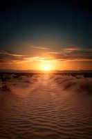 Dramatic golden sunset over rippled sand dunes in desert landscape with distant mountains silhouetted against glowing orange sky and scattered desert vegetation.