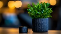 Green plant in modern black textured pot with smart home device against warm bokeh background, creating minimalist contemporary home decor atmosphere.