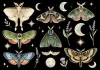 Vintage moth and butterfly collection with celestial elements, lavender sprigs, and moons isolated on transparent background. Ready for t-shirt designs, clipart, stickers, sublimation, and print-on-demand products.