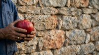 Male farmer holding fresh red apple against rustic stone wall background, agricultural harvest and organic produce concept for farming and food industry.