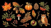 Autumn fall season elements collection with maple leaves, acorns, pumpkin, pinecone, rowan berries, mushroom, cinnamon sticks, chestnut, owl, and foliage isolated on transparent background. Ready for t-shirt designs, clipart, stickers, and print-on-demand projects.