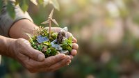 Elderly hands holding a miniature green ecosystem with wind turbine, solar panels, and lush plants, symbolizing sustainable energy and environmental care.