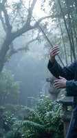 Person practicing tai chi or qigong exercises in misty forest morning with sunlight filtering through trees creating peaceful meditation atmosphere.