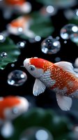 Orange and white koi fish swimming among air bubbles against dark background, detailed scales and fins visible in macro photography style aquatic scene.