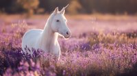 Majestic white horse standing in blooming lavender field at sunset, creating dreamy atmosphere for nature and animal photography.