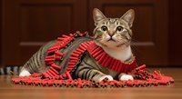 Tabby cat wearing red festive ribbon and garland, sitting indoors against wooden paneled background. Perfect for holiday greeting cards, seasonal marketing, pet-related content, and festive celebrations.