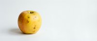 Yellow apple with brown spots isolated on white background, suitable for food, nutrition, and healthy eating design projects.