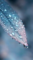 Macro photography of morning dew drops on pink flower petal with soft blue background creating dreamy atmosphere and natural water refraction effect.