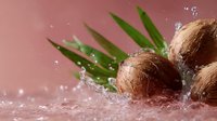 Fresh coconuts with green palm leaves and water splashes on pink background, dynamic food photography composition for healthy lifestyle and tropical concept.