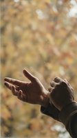 Hands catching falling autumn leaves with blurred foliage background, capturing seasonal joy and outdoor leisure activities for fall-themed designs and nature content.