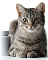 Gray tabby cat with amber eyes lying near medicine bottle on white background, veterinary and pet healthcare concept. Isolated portrait suitable for medical designs.